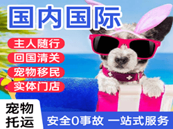 扎兰屯机场托运国际宠物托运 【国